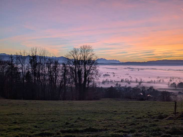 bunter-nebel.jpg
