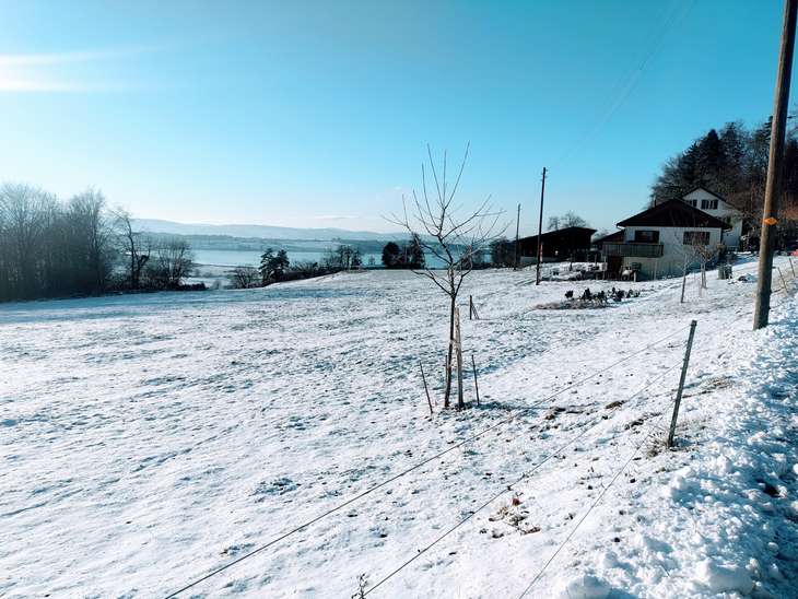 winter-see.jpg