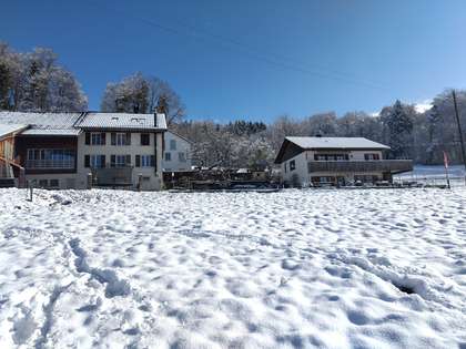 hof-schnee.jpg