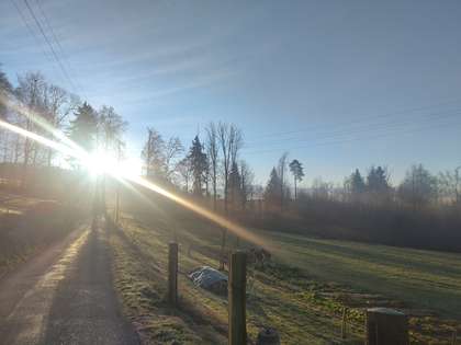 sunrise-garten.jpg
